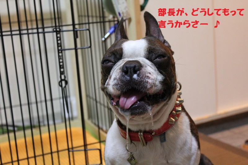f:id:yasuhiroichigo:20100823194944j:image f:id:yasuhiroichigo:20100823194944j:image