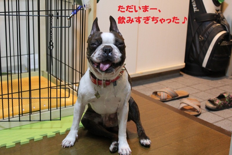 f:id:yasuhiroichigo:20100823194953j:image f:id:yasuhiroichigo:20100823194953j:image