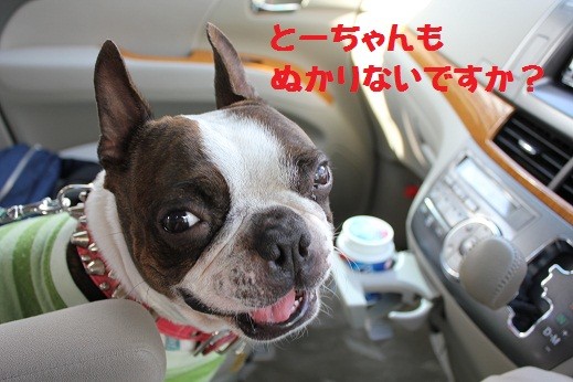 f:id:yasuhiroichigo:20100829234251j:image f:id:yasuhiroichigo:20100829234251j:image