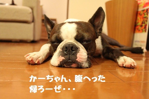 f:id:yasuhiroichigo:20100829234419j:image f:id:yasuhiroichigo:20100829234419j:image