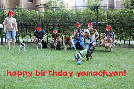 f:id:yasuhiroichigo:20100830000431j:image f:id:yasuhiroichigo:20100830000431j:image