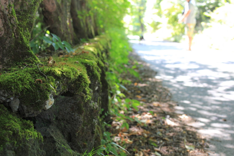 f:id:yasuhiroichigo:20100906153016j:image f:id:yasuhiroichigo:20100906153016j:image