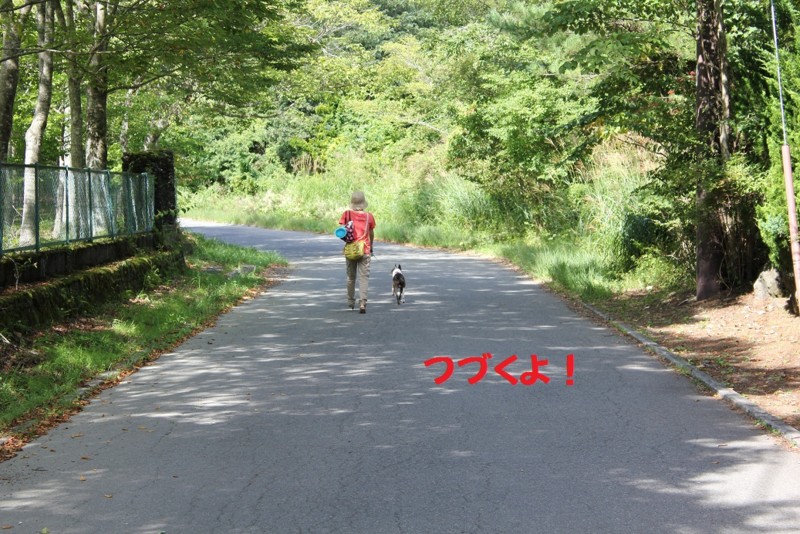 f:id:yasuhiroichigo:20100906160756j:image f:id:yasuhiroichigo:20100906160756j:image