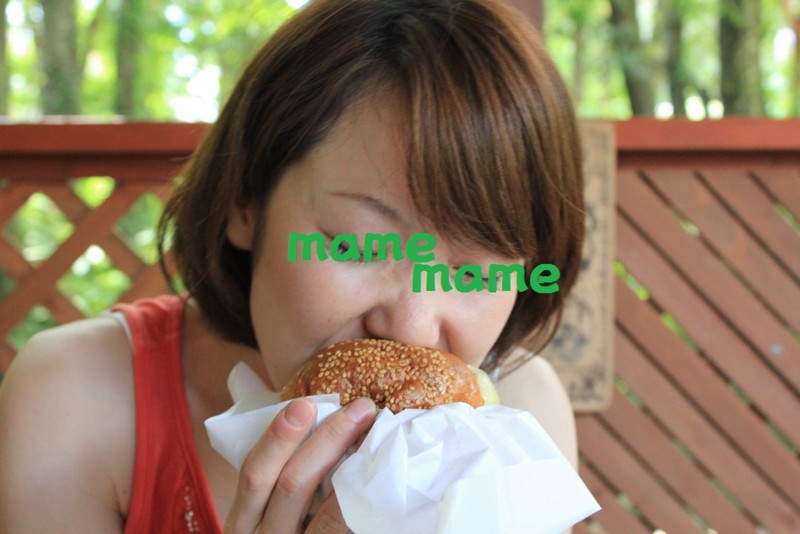 f:id:yasuhiroichigo:20100906222919j:image f:id:yasuhiroichigo:20100906222919j:image