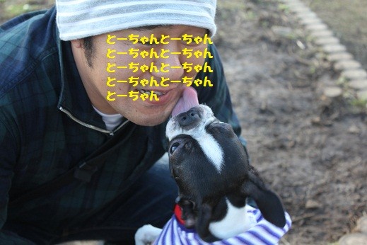f:id:yasuhiroichigo:20101106230618j:image f:id:yasuhiroichigo:20101106230618j:image