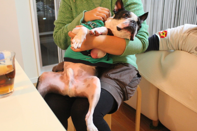 f:id:yasuhiroichigo:20101123002208j:image f:id:yasuhiroichigo:20101123002208j:image