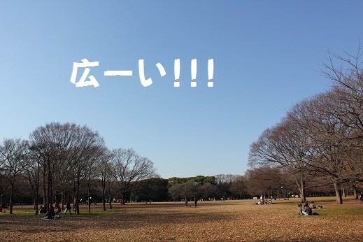 f:id:yasuhiroichigo:20101218232626j:image f:id:yasuhiroichigo:20101218232626j:image