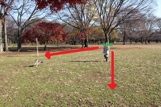 f:id:yasuhiroichigo:20101218233409j:image f:id:yasuhiroichigo:20101218233409j:image