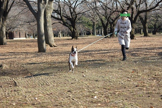 f:id:yasuhiroichigo:20101218233410j:image f:id:yasuhiroichigo:20101218233410j:image