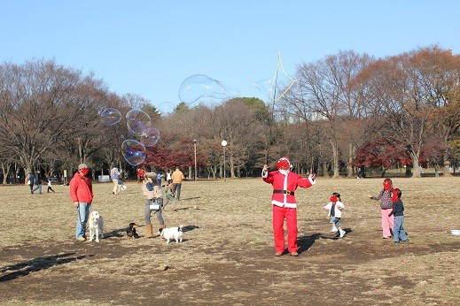 f:id:yasuhiroichigo:20101218233719j:image f:id:yasuhiroichigo:20101218233719j:image