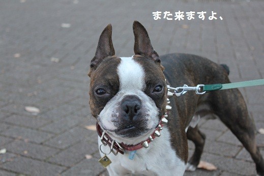 f:id:yasuhiroichigo:20101218234133j:image f:id:yasuhiroichigo:20101218234133j:image