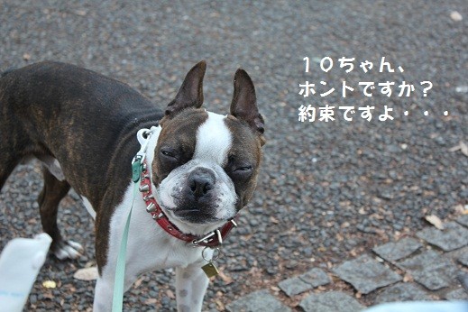 f:id:yasuhiroichigo:20101218234211j:image f:id:yasuhiroichigo:20101218234211j:image