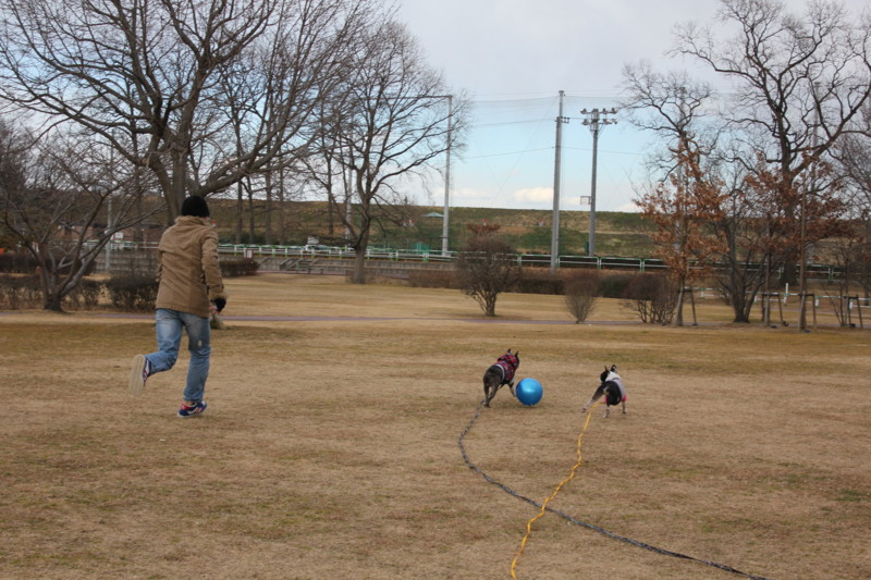 f:id:yasuhiroichigo:20110202214910j:image f:id:yasuhiroichigo:20110202214910j:image