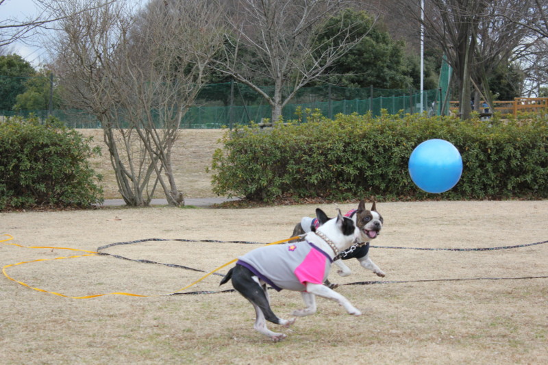 f:id:yasuhiroichigo:20110202215440j:image f:id:yasuhiroichigo:20110202215440j:image