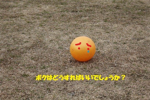 f:id:yasuhiroichigo:20110202215642j:image f:id:yasuhiroichigo:20110202215642j:image