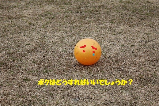 f:id:yasuhiroichigo:20110202215642j:image