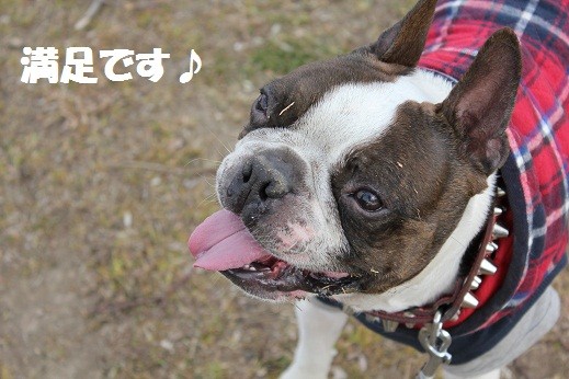 f:id:yasuhiroichigo:20110202215935j:image f:id:yasuhiroichigo:20110202215935j:image