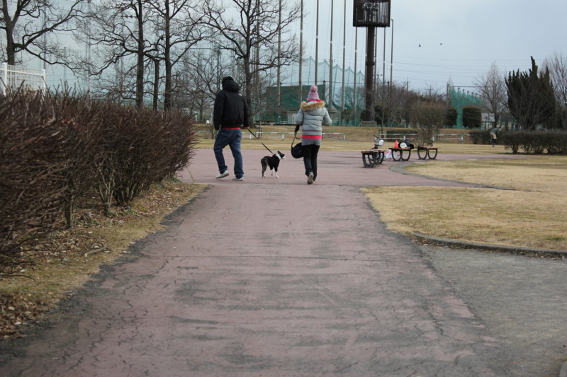 f:id:yasuhiroichigo:20110202220159j:image f:id:yasuhiroichigo:20110202220159j:image