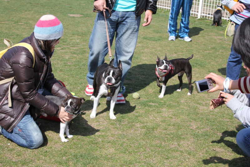 f:id:yasuhiroichigo:20110307221738j:image f:id:yasuhiroichigo:20110307221738j:image