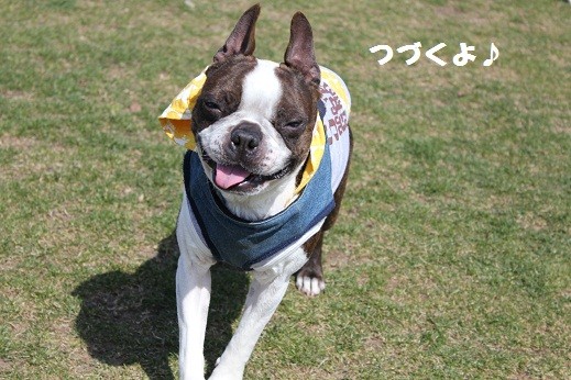 f:id:yasuhiroichigo:20110307222346j:image f:id:yasuhiroichigo:20110307222346j:image
