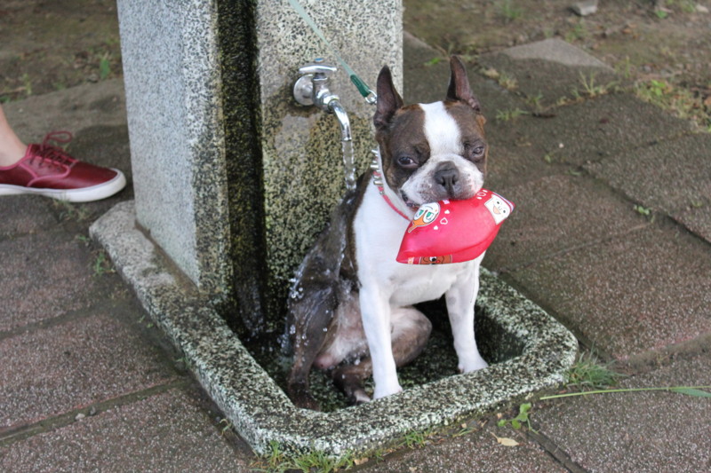 f:id:yasuhiroichigo:20110704224812j:image f:id:yasuhiroichigo:20110704224812j:image