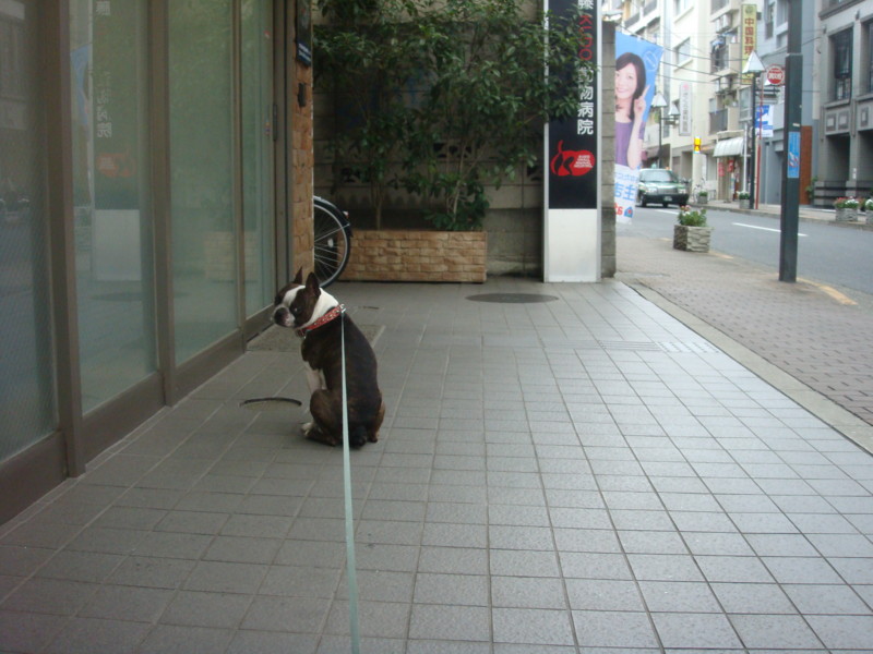 f:id:yasuhiroichigo:20110819162331j:image f:id:yasuhiroichigo:20110819162331j:image