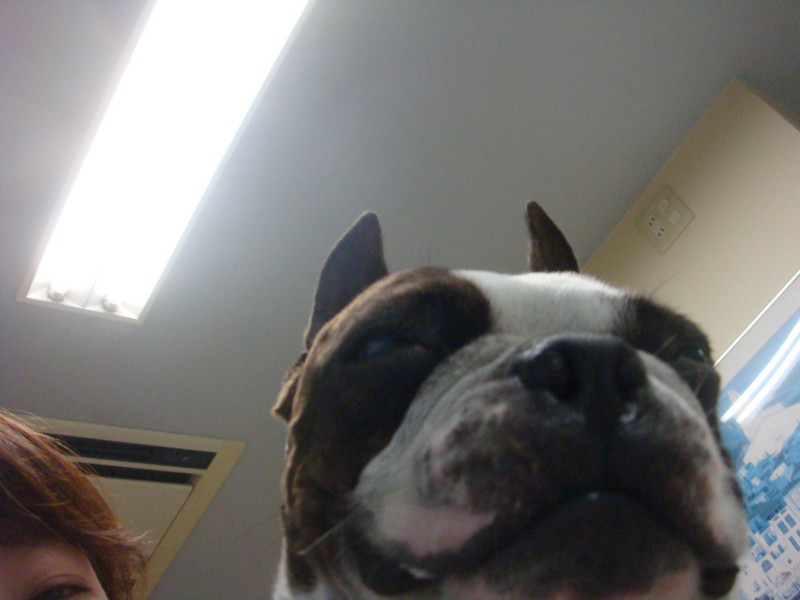 f:id:yasuhiroichigo:20110819162435j:image f:id:yasuhiroichigo:20110819162435j:image