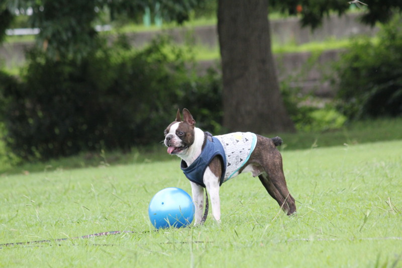 f:id:yasuhiroichigo:20110821191633j:image f:id:yasuhiroichigo:20110821191633j:image