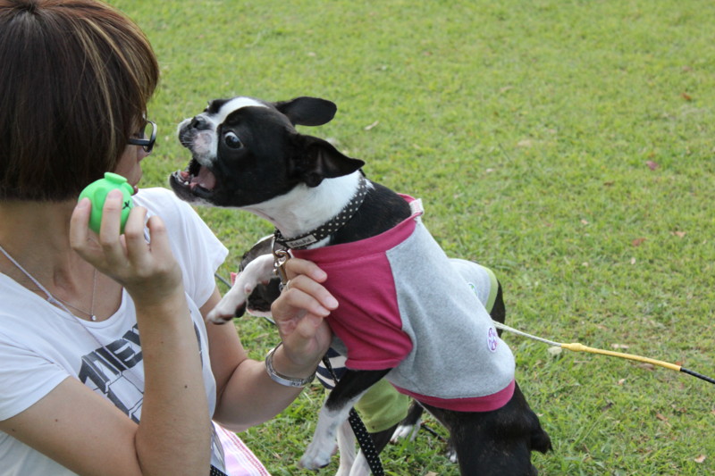 f:id:yasuhiroichigo:20111011230820j:image f:id:yasuhiroichigo:20111011230820j:image
