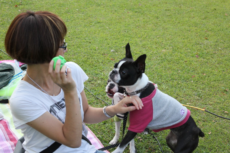 f:id:yasuhiroichigo:20111011230845j:image f:id:yasuhiroichigo:20111011230845j:image
