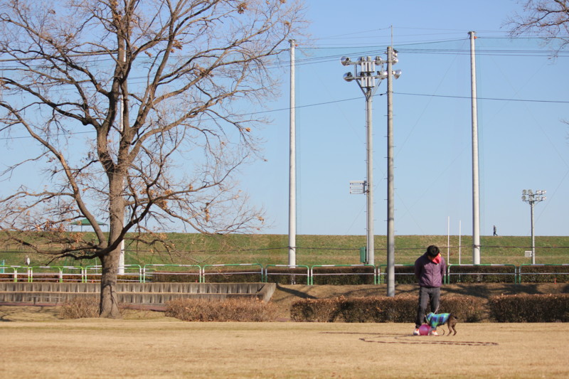 f:id:yasuhiroichigo:20120101182255j:image f:id:yasuhiroichigo:20120101182255j:image