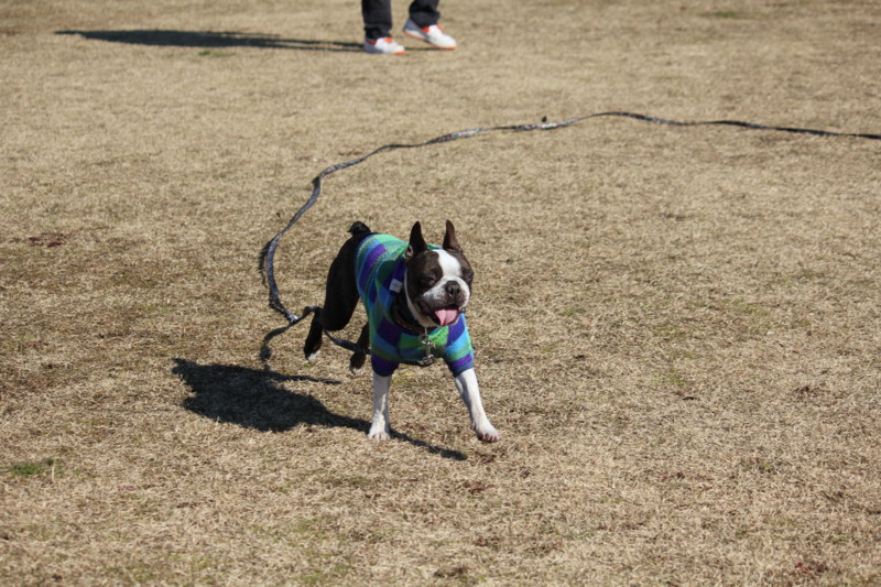 f:id:yasuhiroichigo:20120101182607j:image f:id:yasuhiroichigo:20120101182607j:image