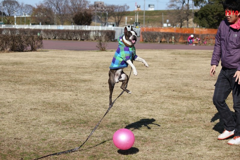 f:id:yasuhiroichigo:20120101183849j:image f:id:yasuhiroichigo:20120101183849j:image