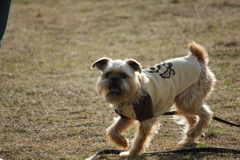 f:id:yasuhiroichigo:20120212212832j:image f:id:yasuhiroichigo:20120212212832j:image