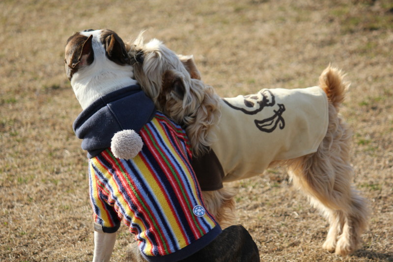 f:id:yasuhiroichigo:20120212213318j:image f:id:yasuhiroichigo:20120212213318j:image