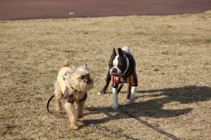 f:id:yasuhiroichigo:20120212213345j:image f:id:yasuhiroichigo:20120212213345j:image