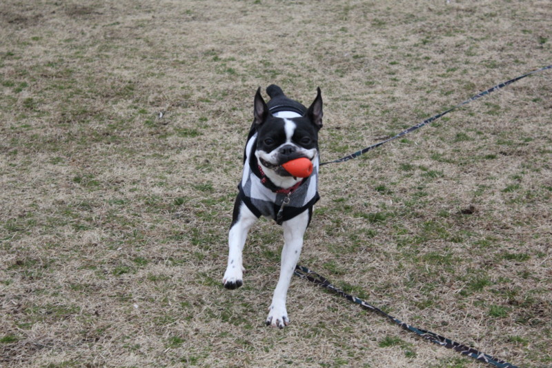 f:id:yasuhiroichigo:20120304221752j:image f:id:yasuhiroichigo:20120304221752j:image