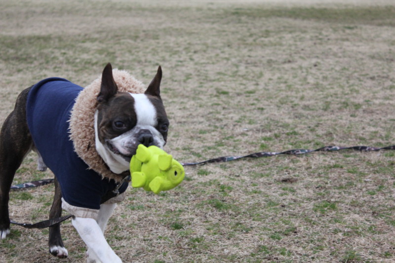 f:id:yasuhiroichigo:20120304221818j:image f:id:yasuhiroichigo:20120304221818j:image