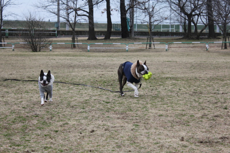 f:id:yasuhiroichigo:20120304221843j:image f:id:yasuhiroichigo:20120304221843j:image