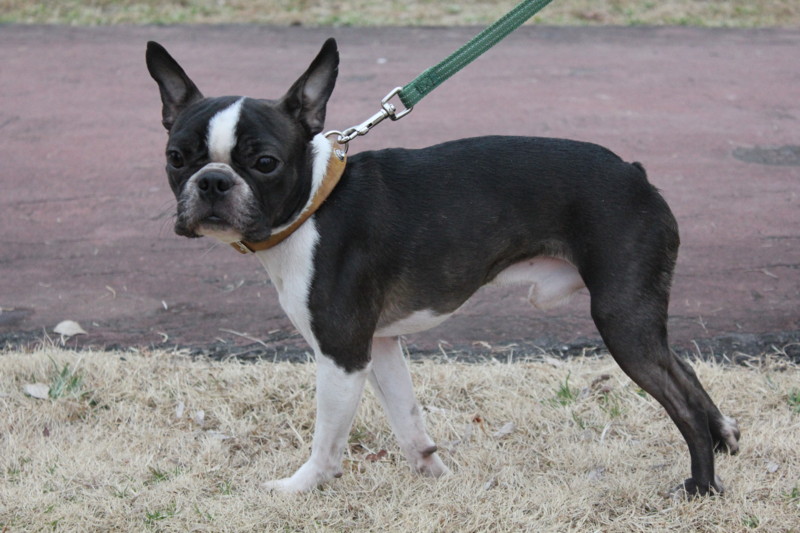 f:id:yasuhiroichigo:20120304221959j:image f:id:yasuhiroichigo:20120304221959j:image