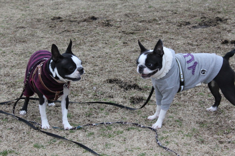 f:id:yasuhiroichigo:20120304222025j:image f:id:yasuhiroichigo:20120304222025j:image