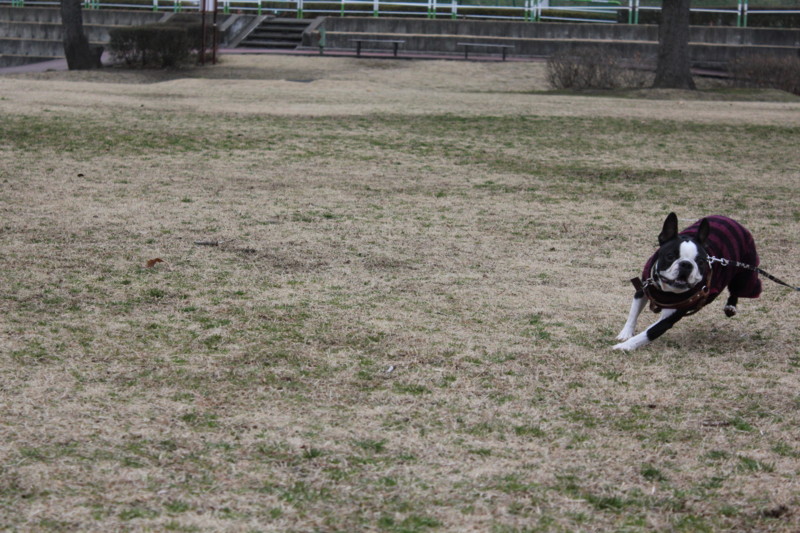 f:id:yasuhiroichigo:20120304222051j:image f:id:yasuhiroichigo:20120304222051j:image