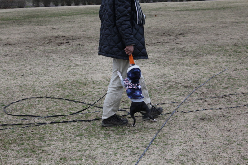 f:id:yasuhiroichigo:20120304222307j:image f:id:yasuhiroichigo:20120304222307j:image