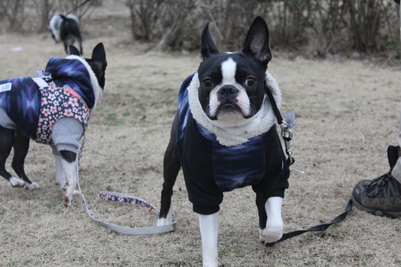 f:id:yasuhiroichigo:20120304222330j:image f:id:yasuhiroichigo:20120304222330j:image