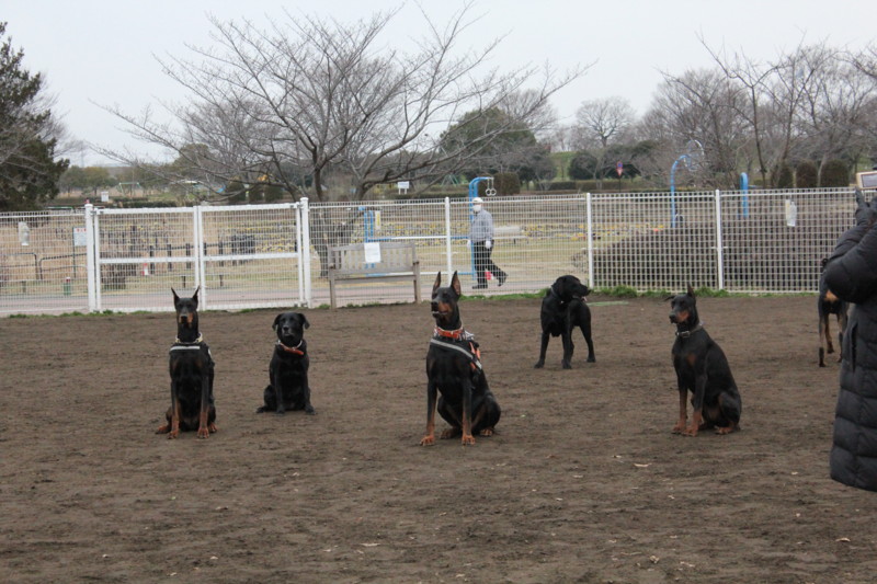 f:id:yasuhiroichigo:20120304222512j:image f:id:yasuhiroichigo:20120304222512j:image