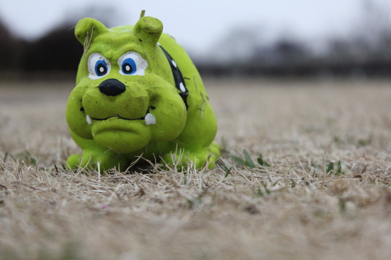 f:id:yasuhiroichigo:20120304222536j:image f:id:yasuhiroichigo:20120304222536j:image