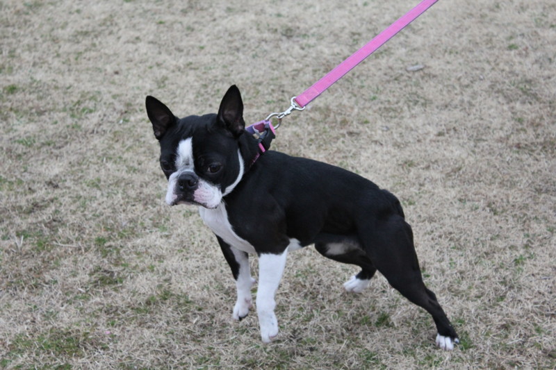 f:id:yasuhiroichigo:20120304222620j:image f:id:yasuhiroichigo:20120304222620j:image