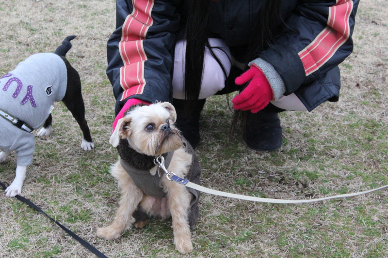 f:id:yasuhiroichigo:20120304222642j:image f:id:yasuhiroichigo:20120304222642j:image