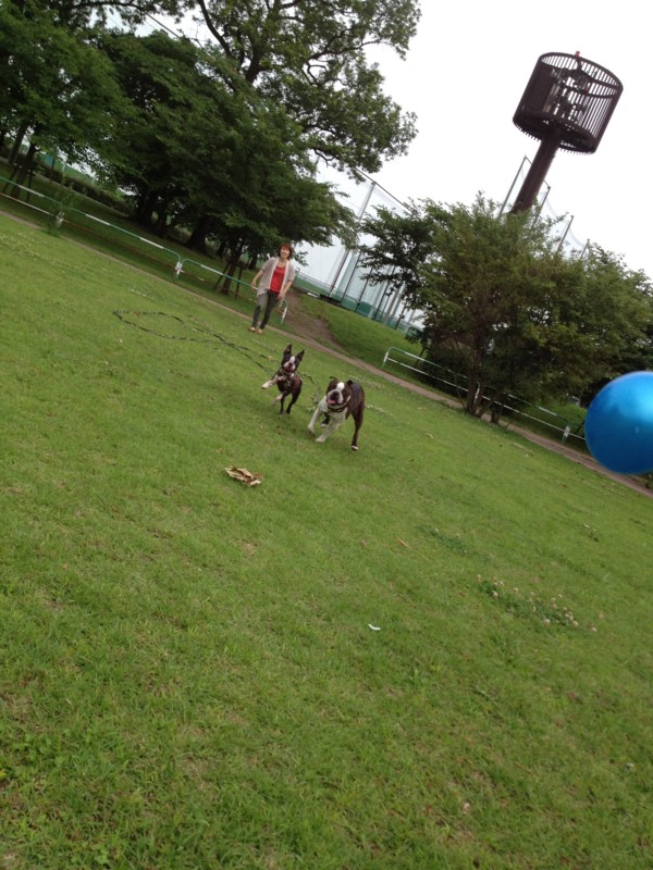 f:id:yasuhiroichigo:20120627192528j:image f:id:yasuhiroichigo:20120627192528j:image