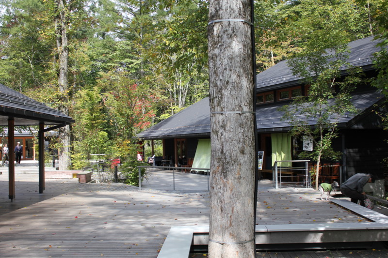 f:id:yasuhiroichigo:20121013110047j:image f:id:yasuhiroichigo:20121013110047j:image